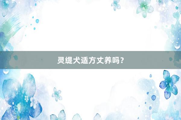 灵缇犬适方丈养吗？
